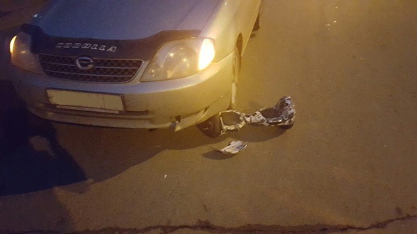 Авария гироскутер