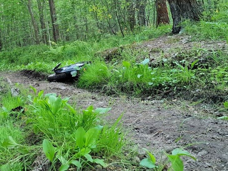 Моноколесо в лесу