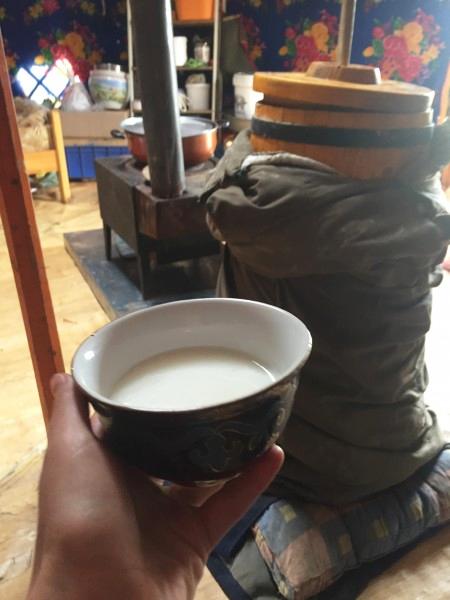 Пьём кумыс в настоящей юрте