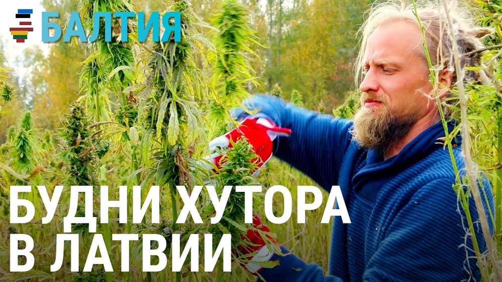 Латвийский хутор. Балтия