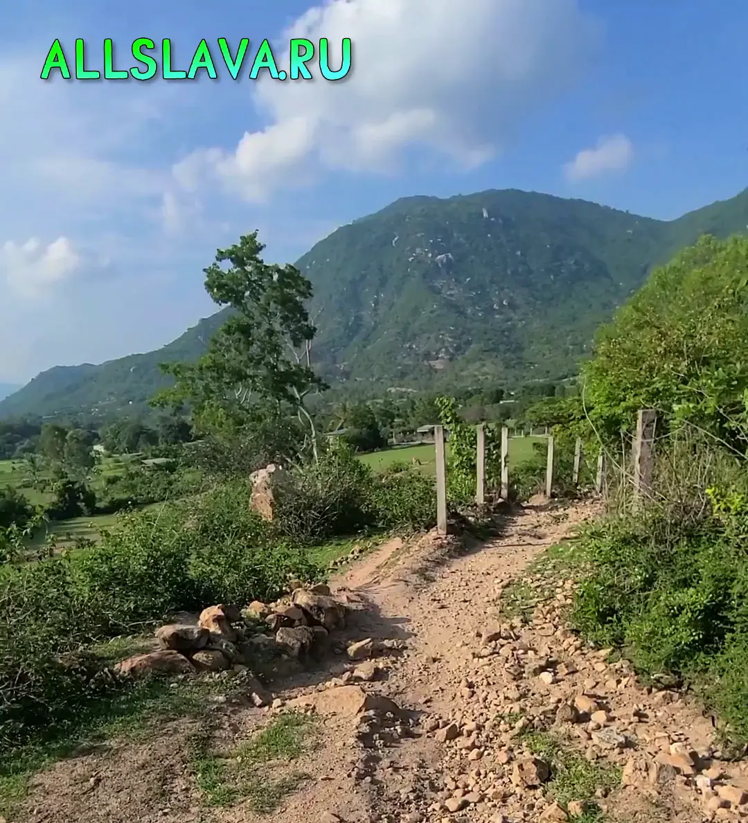 Вьетнамские ебеня на электроскутере