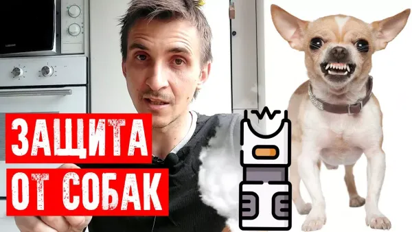 Как защититься от собак?
