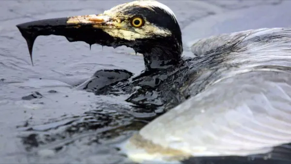 Опасность нефти