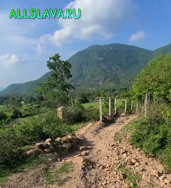 Вьетнамские ебеня на электроскутере